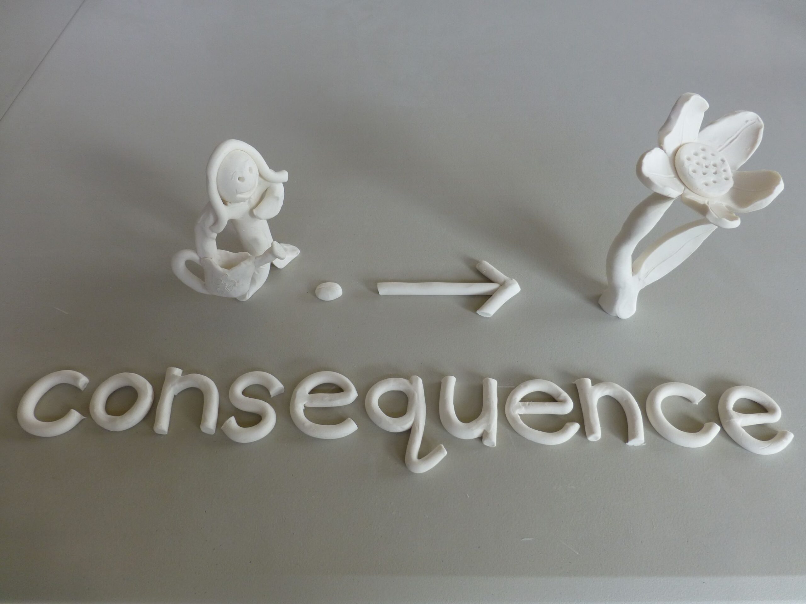 clay model of the word consequence, words spelled out with a seed turning into a flower depicted by an arrow